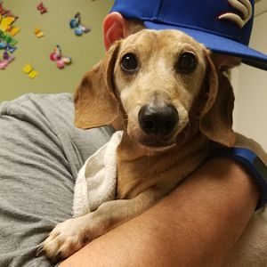 Meet your Posher, Tina